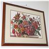 Image 1 : FRAMED AND MATTED FLOWER ART PIECE