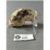 Image 2 : Ammonite Fossil. Retails $380.00