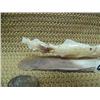 Image 2 : Group of 4 salmon carved form fossilized walrus ivory mounted on mammoth bone, signed 95 (2)
