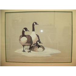 24"x18" signed and numbered print, some damage, by Lance Hartzell 1983 (22)