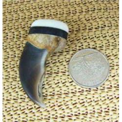 CHOICE on 3 2.5" polar bear claws mounted with fossilized and white ivory pendants: white ivory