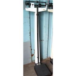 CHOICE on 7 Health-o-meter scales, weigh up to 350 lbs (191)