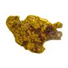 Image 1 : 1.03 Gram Sonoyta, Mexico Gold Nugget