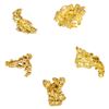 Image 1 : Lot of Mexico Gold Nuggets 1.18 Grams Total Weight