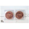 Image 1 : 2 ONE OUNCE COPPER BULLION COINS