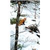 Image 1 : NEW SOFTCOVER "THE WILDING" BY SANDRA MORRIS