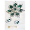 Image 1 : PIN & MATCHING EARRINGS