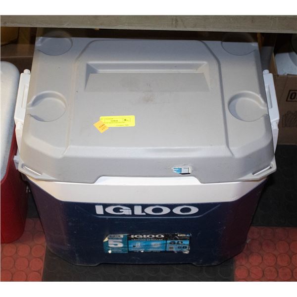 62 GALLON MAX COLD IGLOO