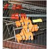 Image 1 : LOT OF PIPE CLAMPS