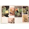 Image 7 : Cacti of the Southwest, Book, [181946]