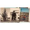 Image 2 : Crescent City Postcards 1909-55 (57) [185560]