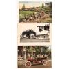 Image 1 : Lake County Postcards 1910-35 (3) [184300]
