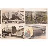 Image 2 : Western Lumber Postcards, 22, c. 1907-18 [184190]