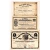 Image 1 : Equipment Early Issue Stock Trio [177081]