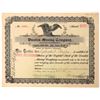 Image 1 : Mining - Maine Stock Cert (1901) [177368]