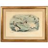 Image 1 : Edouard Travies Lavandiere Hand-colored Bird Print  1856 [167509]