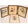 Image 1 : Flower Prints in Frames, Antique,  4 [176505]