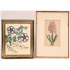 Image 3 : Flower Prints in Frames, Antique,  4 [176505]