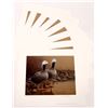 Image 1 : Waterfowl  Signed, Numbered Prints by Daniel Smith  (7) [164388]