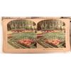 Image 2 : California Stereoviews 1895-1900 (15) [178684]