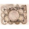 Image 1 : Silver Coin Belt Buckle [183373]