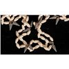 Image 2 : Shell Necklaces (2) [178239]