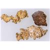 Image 2 : Royal Mine Calaveras County Native Gold [183561]
