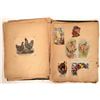 Image 3 : Trade Cards, 50, Some Scarce California and Nevada [184172]