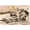 Image 3 : World War 1 Aircraft Photos,60 [183959]