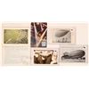 Image 1 : Blimps American Postcards Pre 1940 (5) [184324]