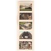 Image 2 : Blimps American Postcards Pre 1940 (5) [184324]