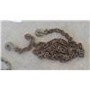 Image 2 : 2 Load Binders, 5 Chains - 4 with Hooks, 1 Without Hooks