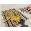 Image 2 : Pallet of Extension Cords