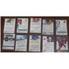 Image 2 : 10 rookie hockey card lot bundle  Young Guns