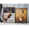 Image 1 : Framed glass elk picture & fishing poster - 25x32.5" & 24x31"