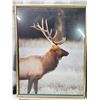 Image 3 : Framed glass elk picture & fishing poster - 25x32.5" & 24x31"