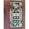 Image 3 : 2 single 1955 F License Plates