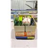 Image 7 : LOT OF ASSORTED FORZA CHAMPIONI FIGURES, SPORTSTARS SOCCER FIGURES, SUBBETEO TEAMS FIGURES & MORE