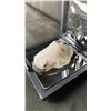 Image 2 : GREEN TOURMALINE IN MATRIX RETAIL $600