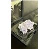 Image 3 : GRAPE AGATE RETAIL $400