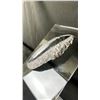 Image 2 : ORTHOCERAS FOSSIL RETAIL $600