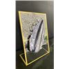 Image 3 : ORTHOCERAS FOSSIL WITH PYRITE RETAIL $1100