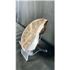 Image 2 : AMMONITE FOSSIL RETAIL $400