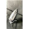 Image 2 : ORTHOCERAS FOSSIL RETAIL $200