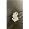 Image 3 : ORTHOCERAS AMMONITE FOSSIL RETAIL $400