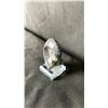 Image 2 : ORTHOCERAS AMMONITE FOSSIL RETAIL $400