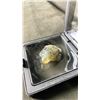 Image 2 : TURTLE CARVING RETAIL $180