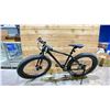 Image 2 : NORTHROCK XCF 10 SPEED FAT TIRE BIKE