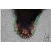 Image 8 : Felted bear rug, 68" nose to tail . NOTE: This item may be expensive to ship because of it's size or
