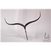 Image 1 : Vintage Paul Wunderlich "Korkenziher 1" patinated bronze corkscrew circa 1979